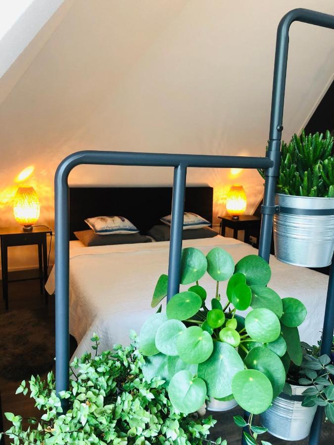Happy Bentveld Guesthouse 外观 照片